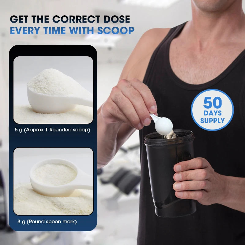 kexinsh Creatine Monohydrate Powder Creatine Post Workout Recovery Drink Muscle Builder Muscle Building Supplements Fruit Punch