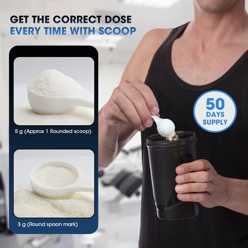 kexinsh Creatine Monohydrate Powder Creatine Post Workout Recovery Drink Muscle Builder Muscle Building Supplements Fruit Punch