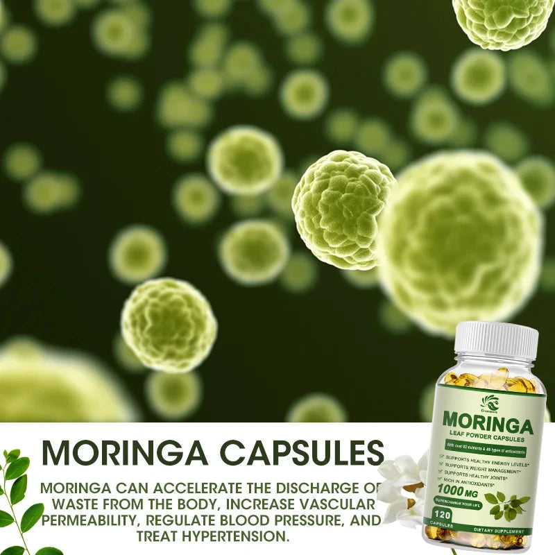 Moringa Oil Promote Metabolism Support Weight Loss Repairs Damaged Cells Alleviates Inflammation Cardiovascular Health